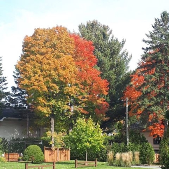 Meet your Posher, Riad - Picture 1 of 1